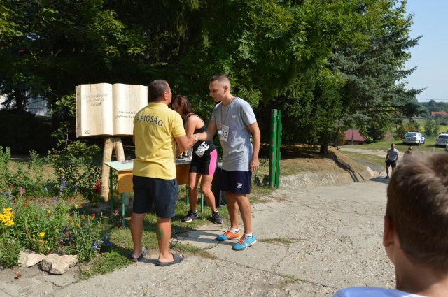 Falunap 2017